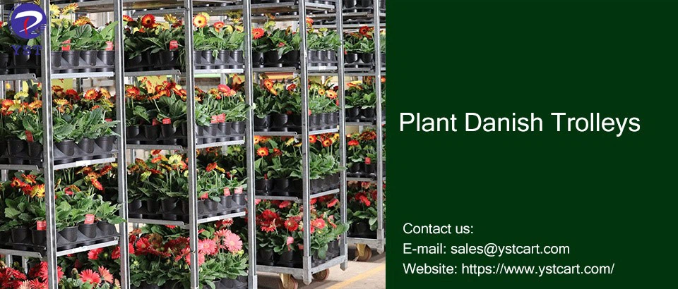 Plant Danish Trolleys-14 Plant Danish Trolleys-14