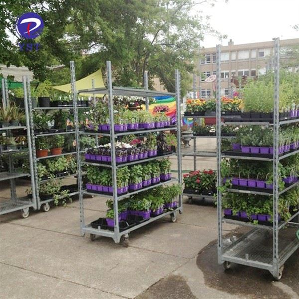 Plastic Shelves Danish Trolley