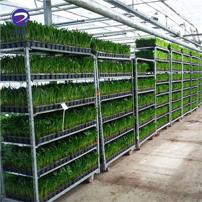 Pp Hyllor Nursery Plant Cart